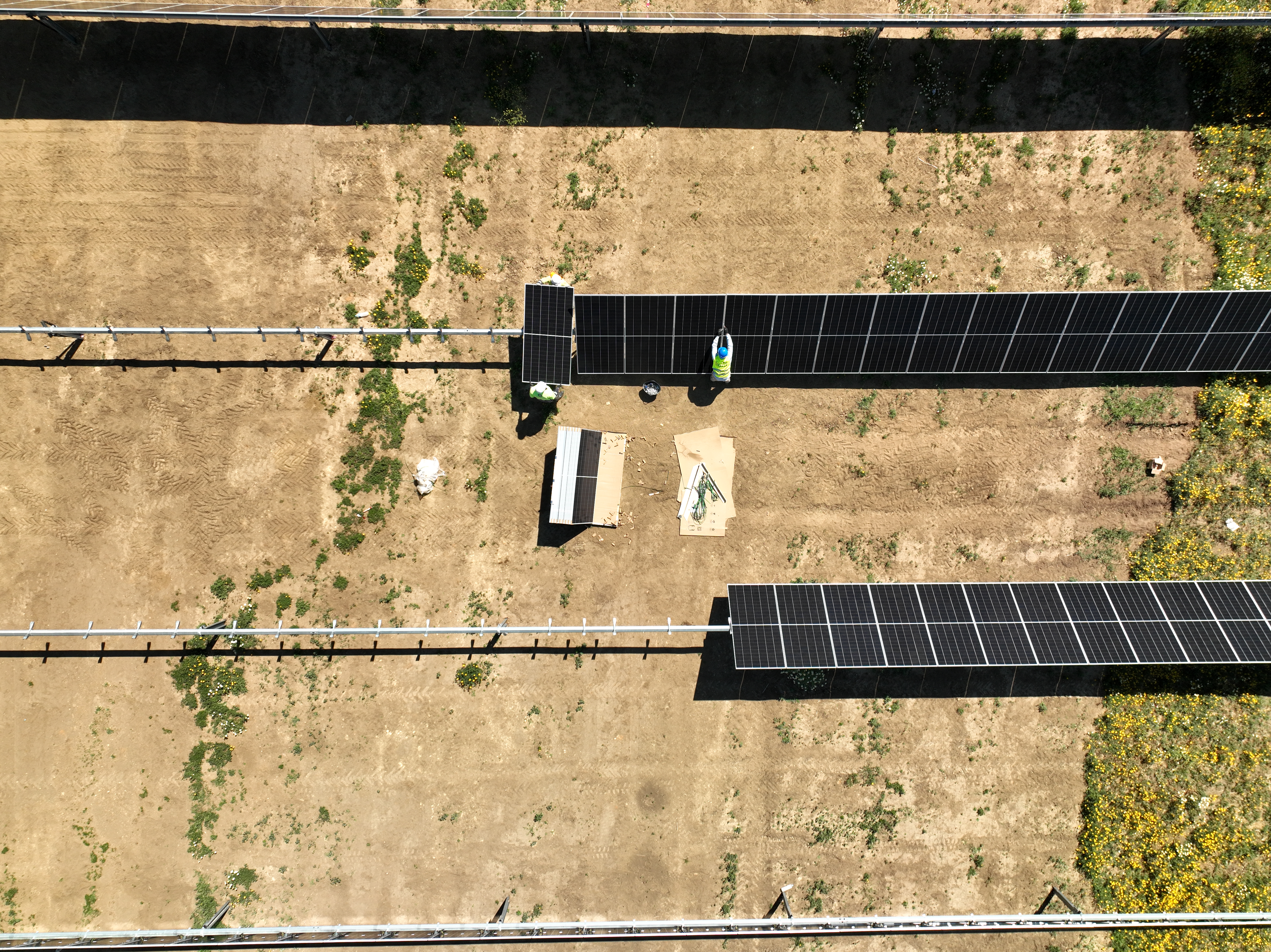 Fortune Italia Puerto Real (1)