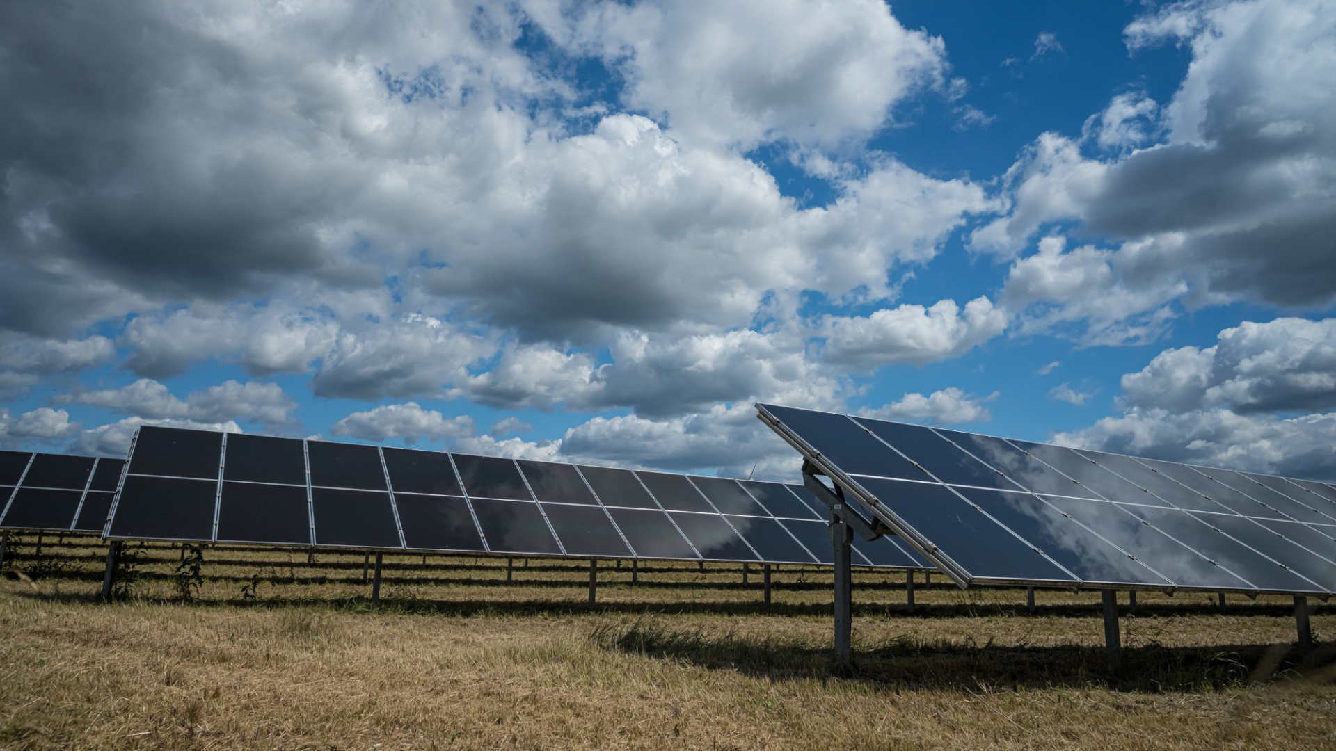 Explore the pros and cons of solar panels.