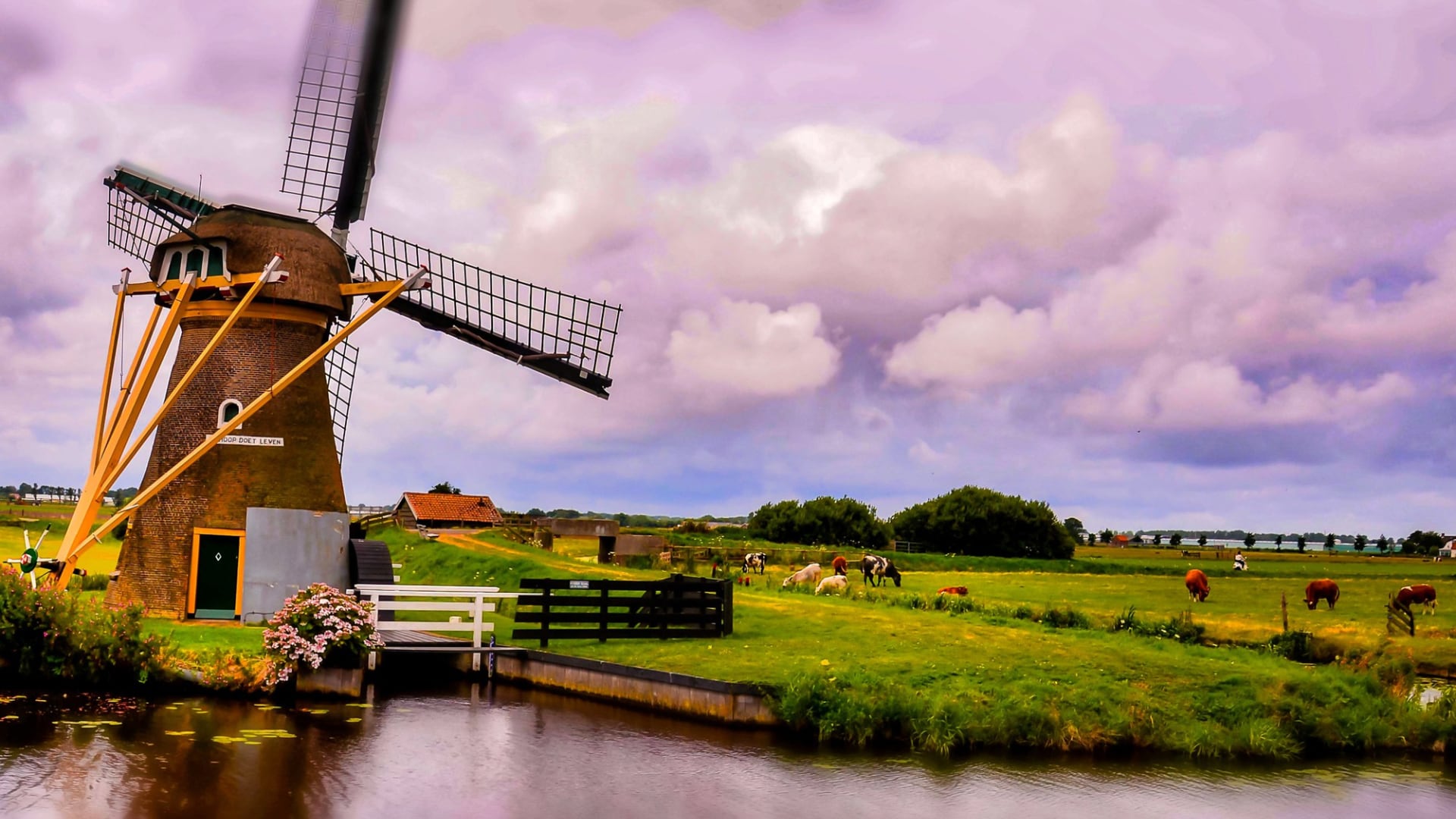 history of energy use by humans