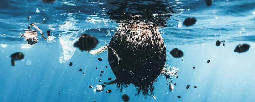 Why is water pollution a problem?