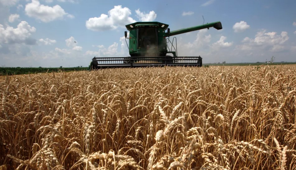 National Review Photo