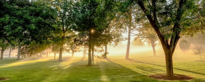 Carbon Neutrality meaning