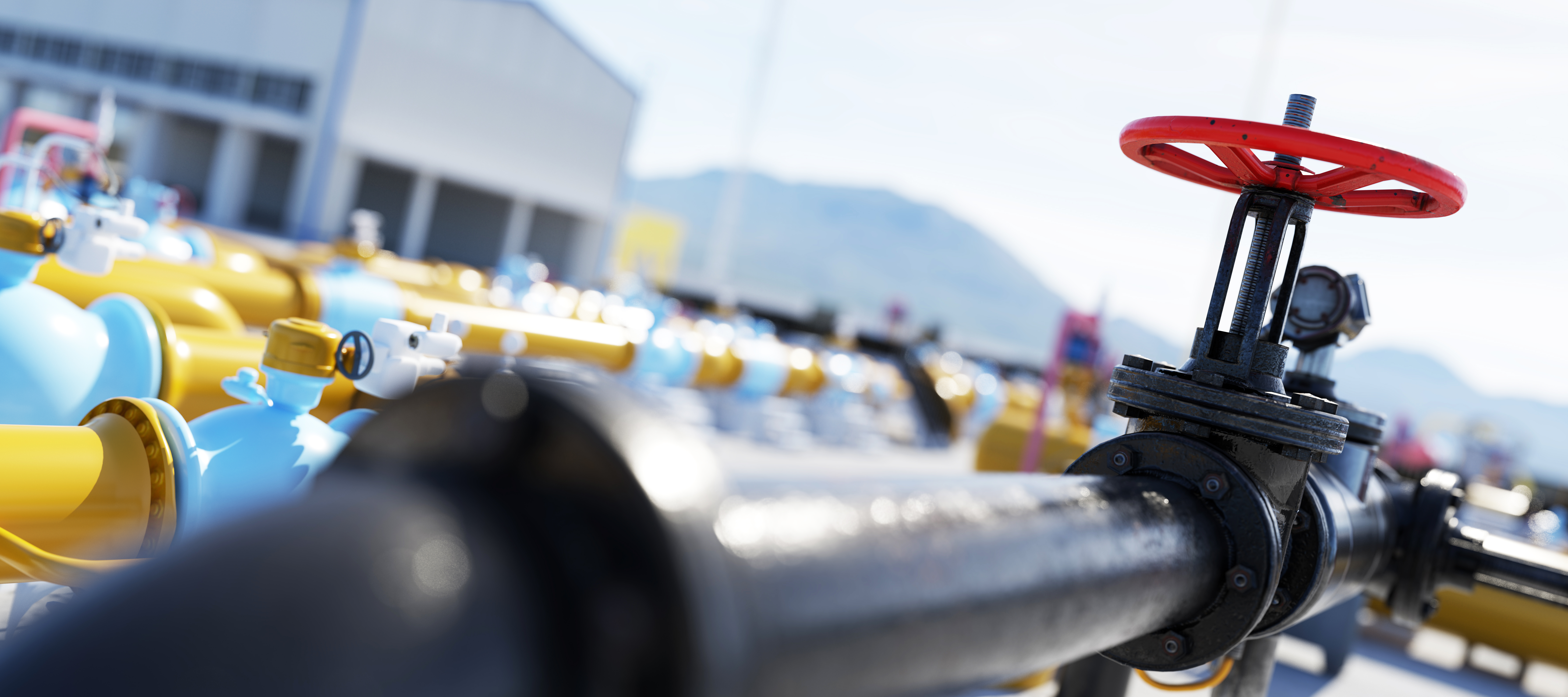 Shutterstock 1784363042