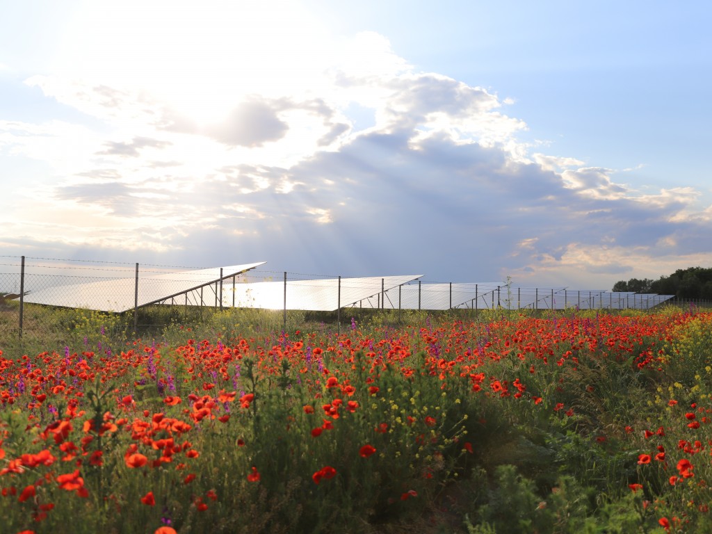 e4231bb072e9764435f8