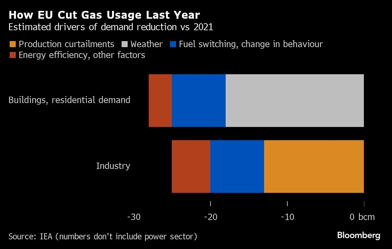 EU Gas Usage Bloomberg (1)