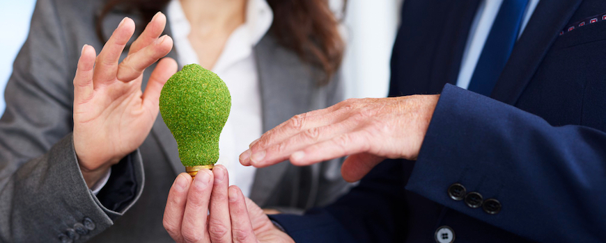 environmental conscience