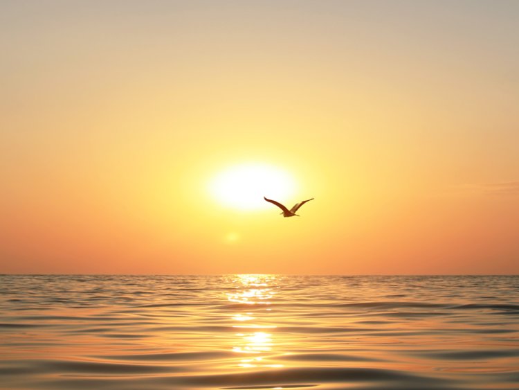 6fd4ae834c1198d2ddb6