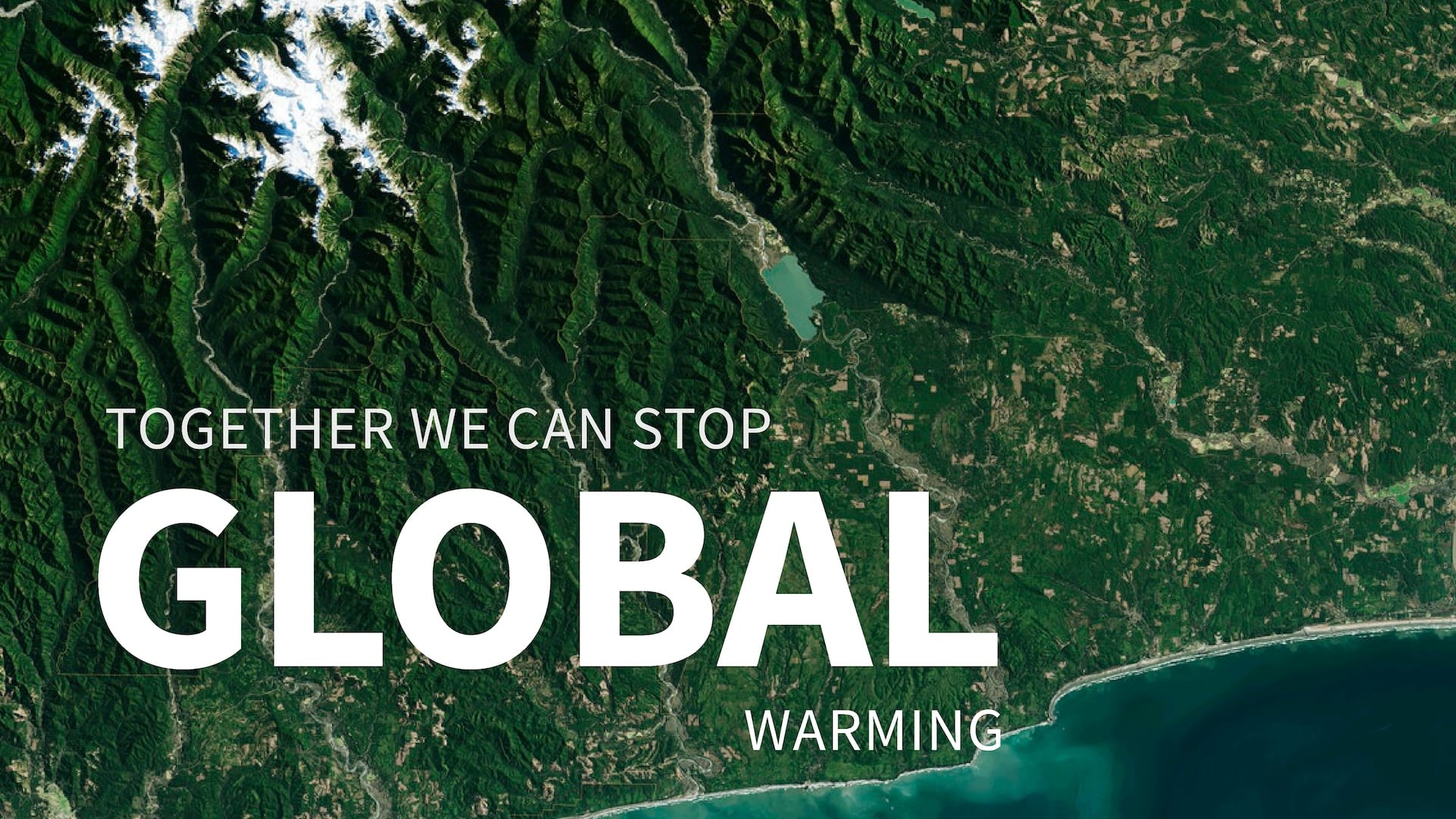 How to stop global warming?