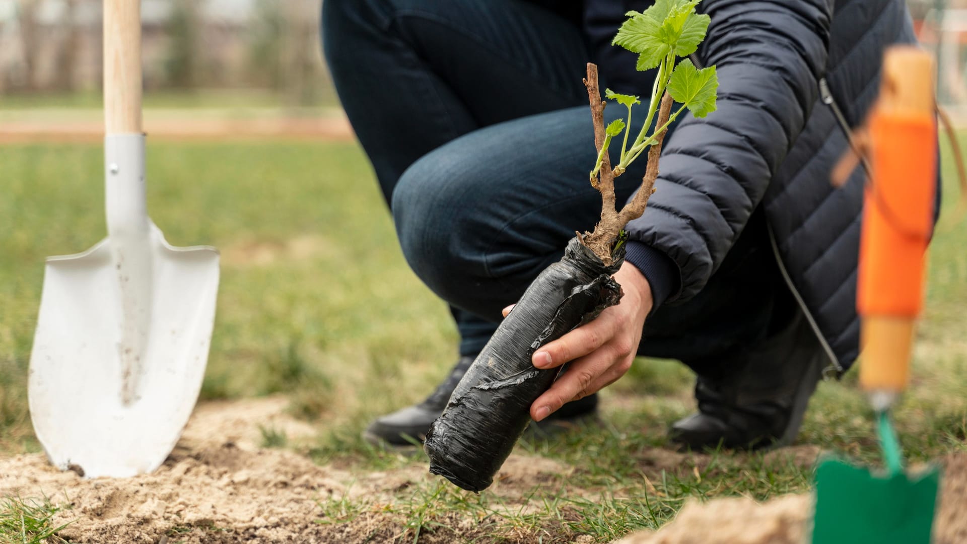 environmental pollution in the water