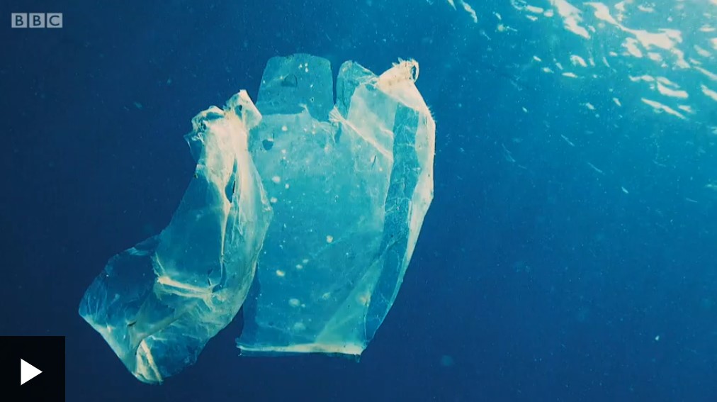 d2e3b1b612e99a493019